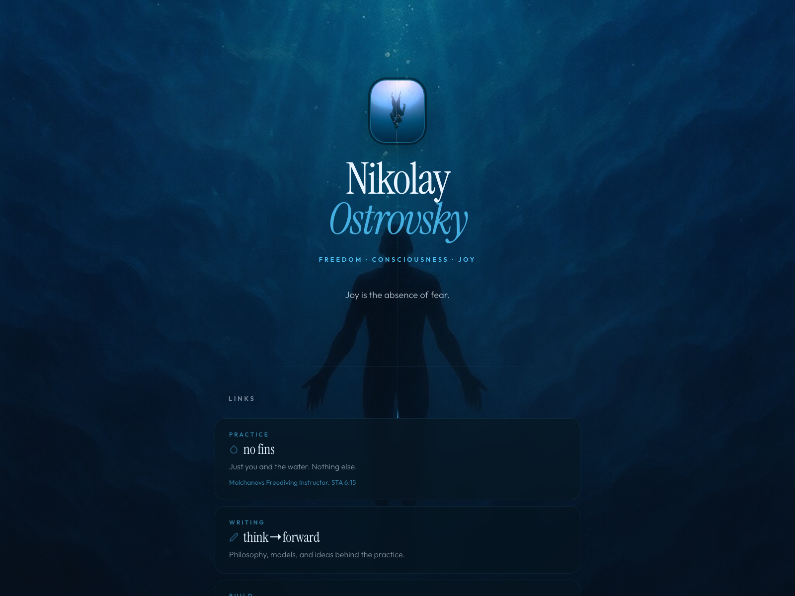 nikolayx.com project visual