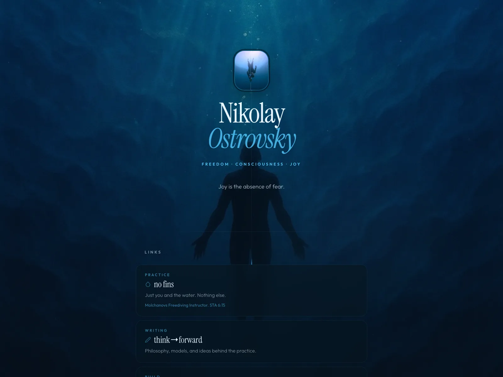 nikolayx.com project visual