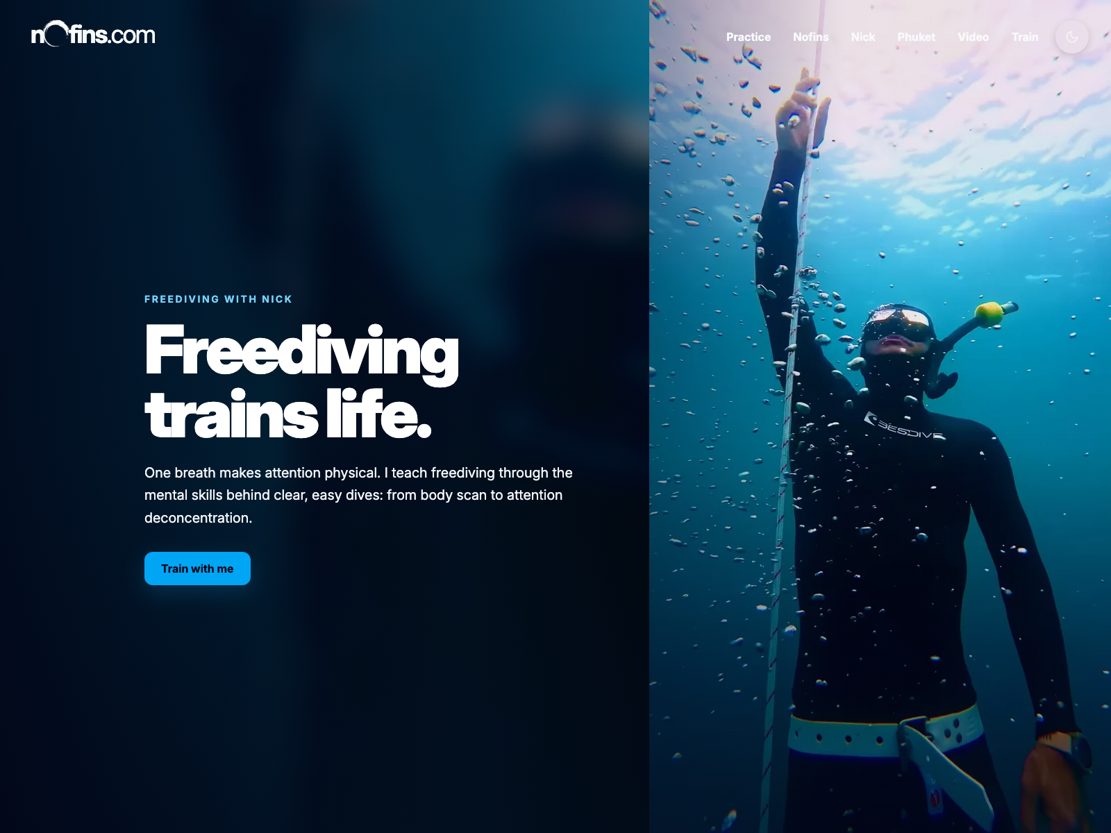 nofins.com project visual