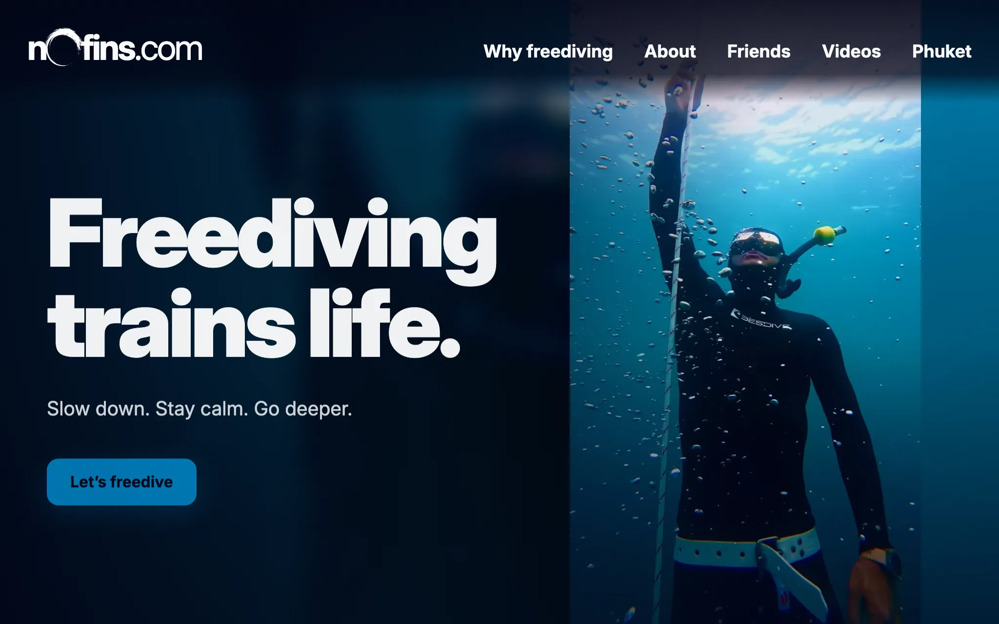 nofins.com project visual