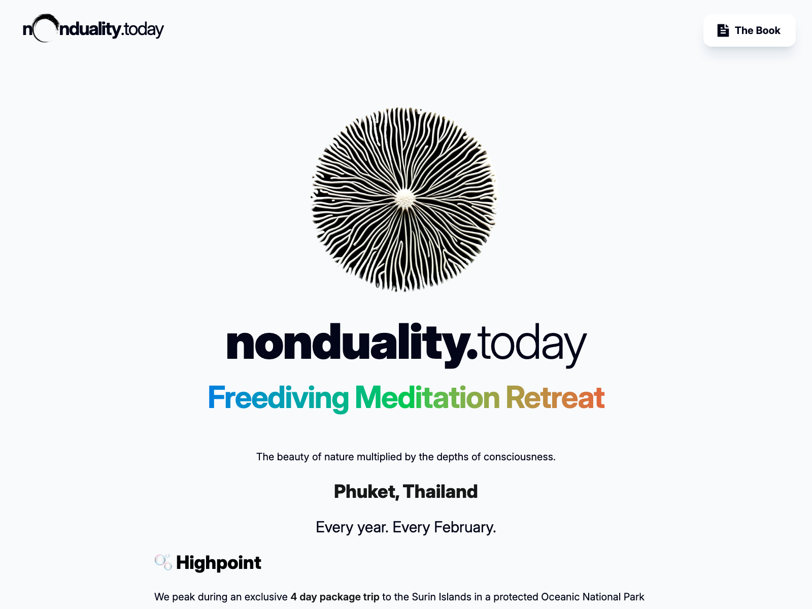 nonduality.today project visual