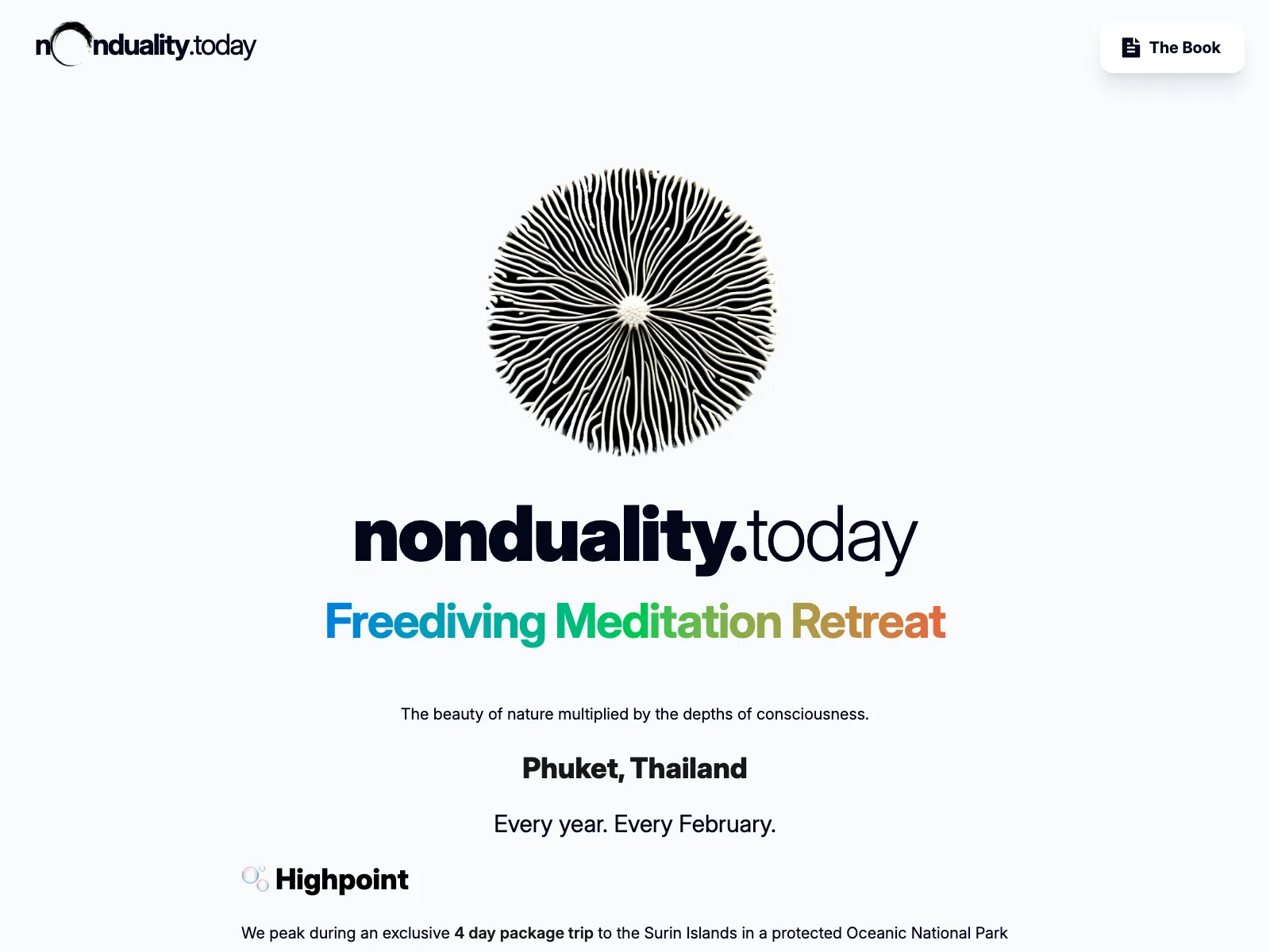 nonduality.today project visual